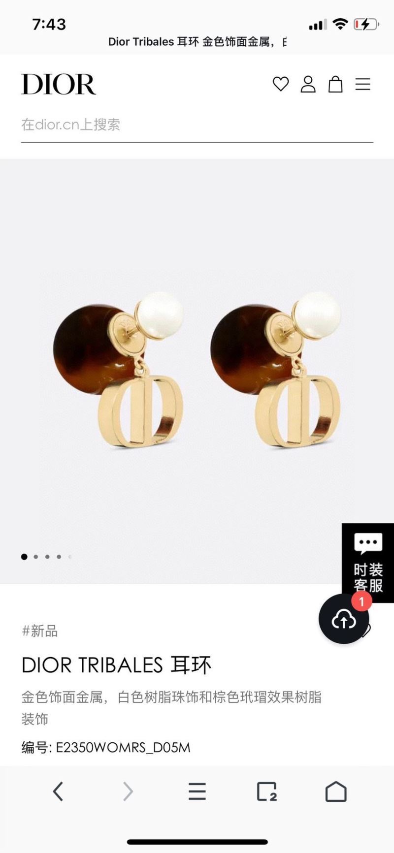 Christian Dior Earrings